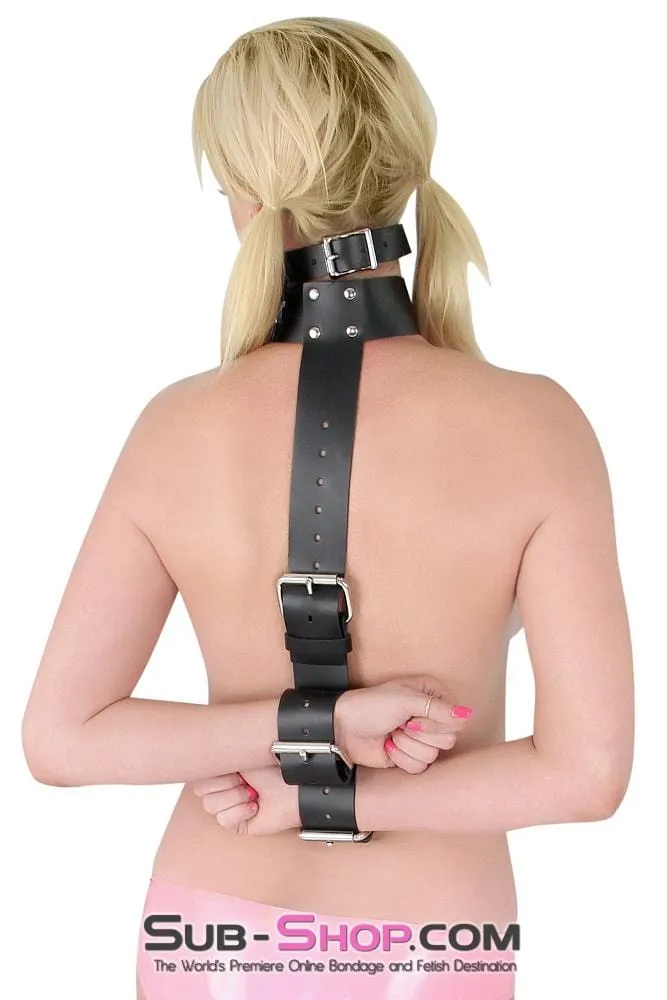1741A-BLK      2" Collar to Wrist Restraint, Black Leather
