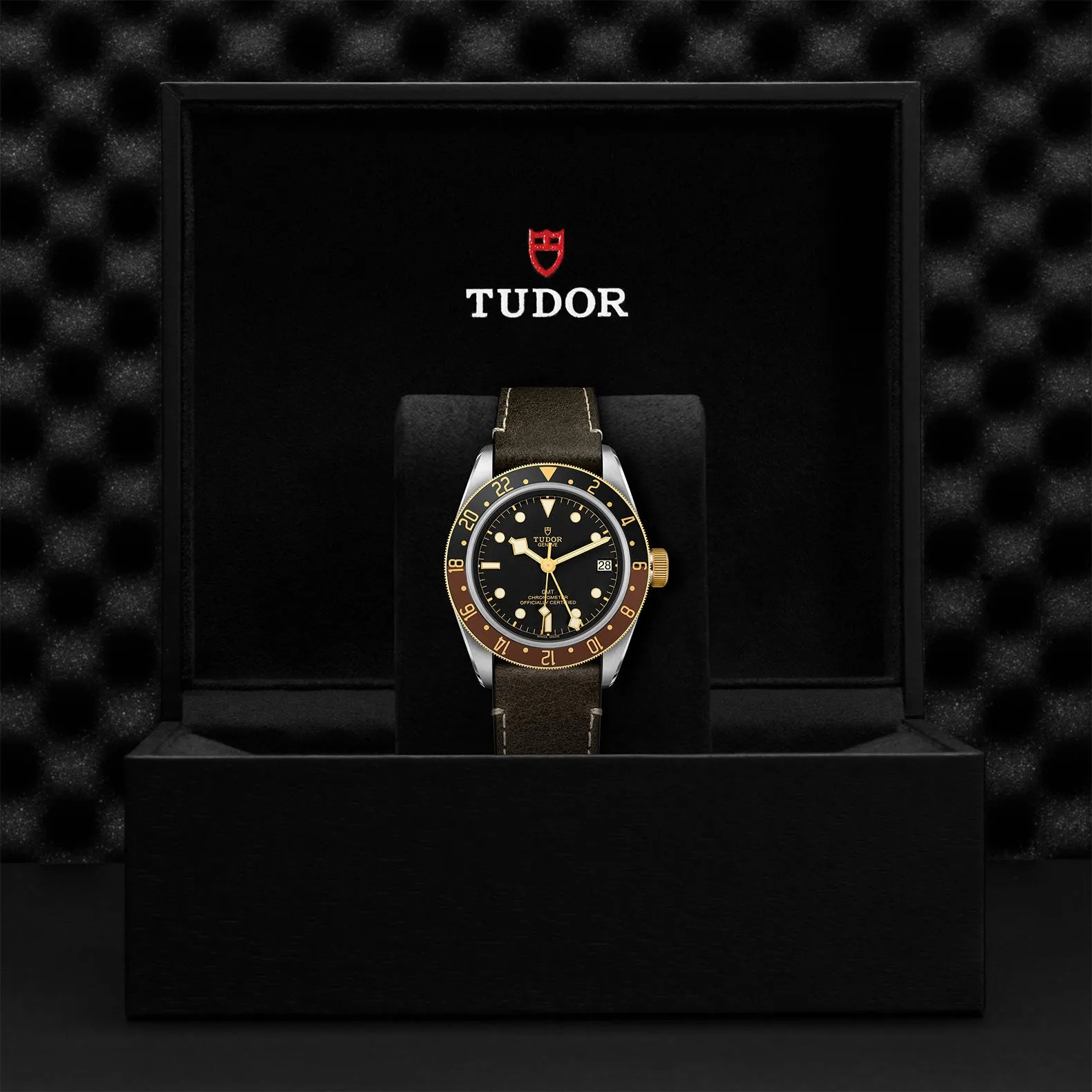 Black Bay GMT S&G