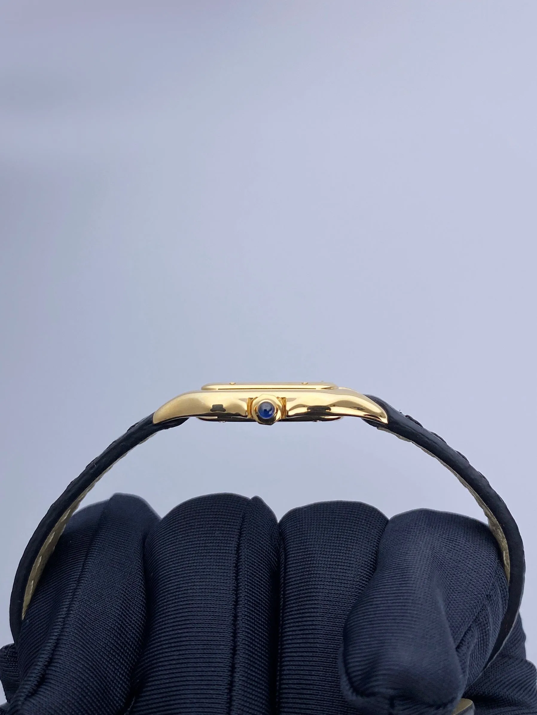 Cartier Panthere W2502316 18K Yellow Gold Ladies Watch