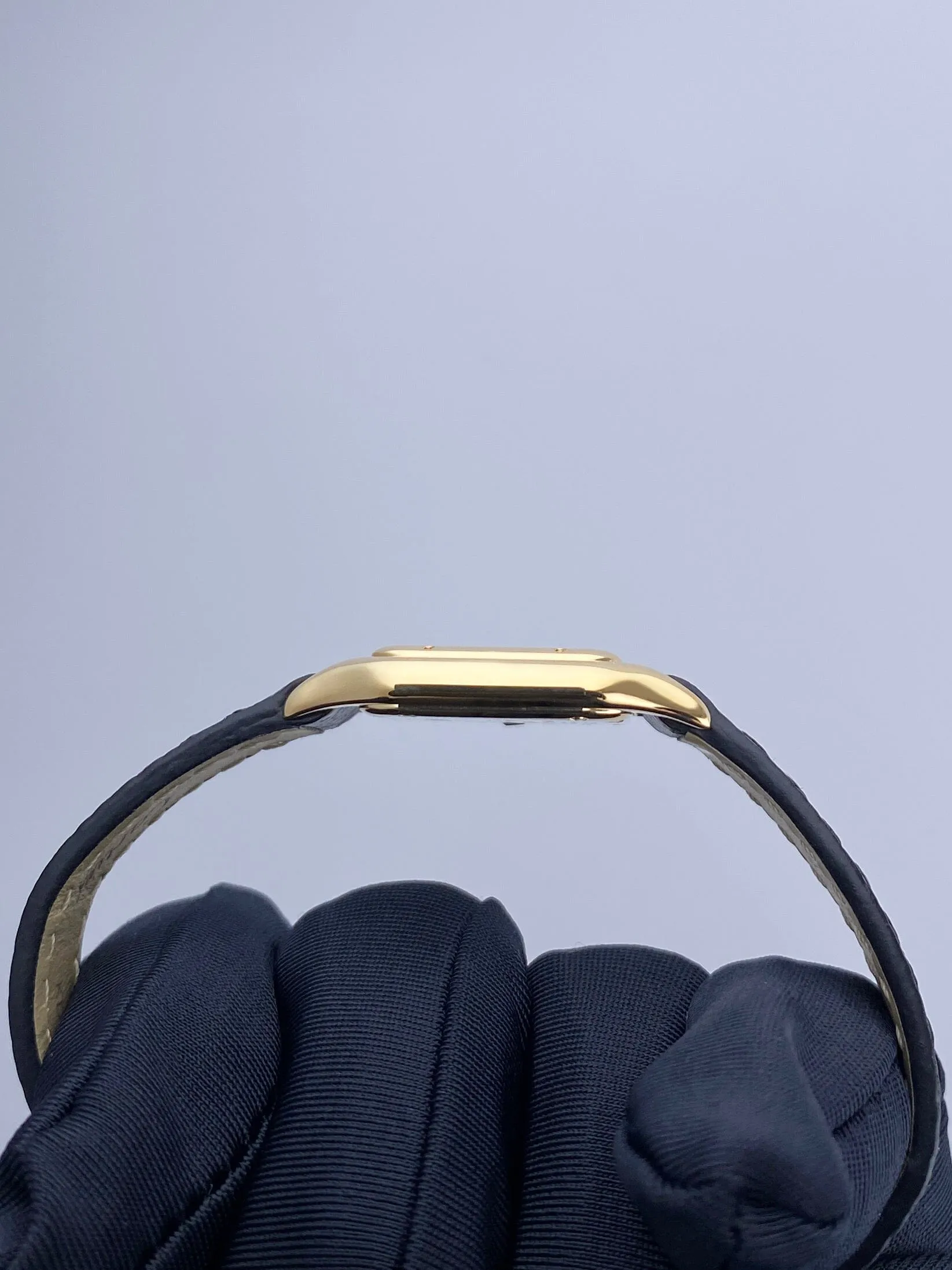 Cartier Panthere W2502316 18K Yellow Gold Ladies Watch