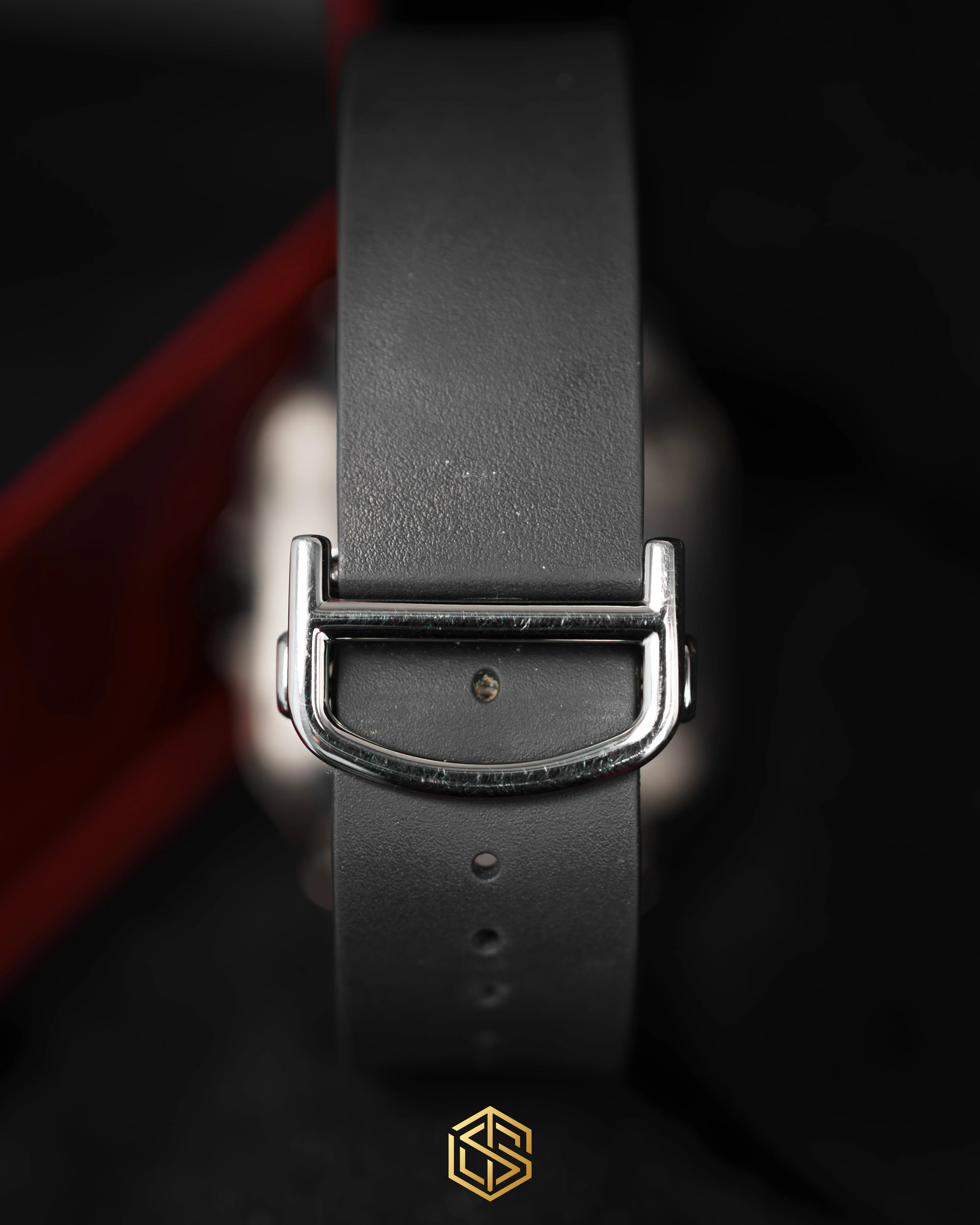 Cartier WSSA0039 Santos De Cartier Large 40mm ADLC 2022 Watch