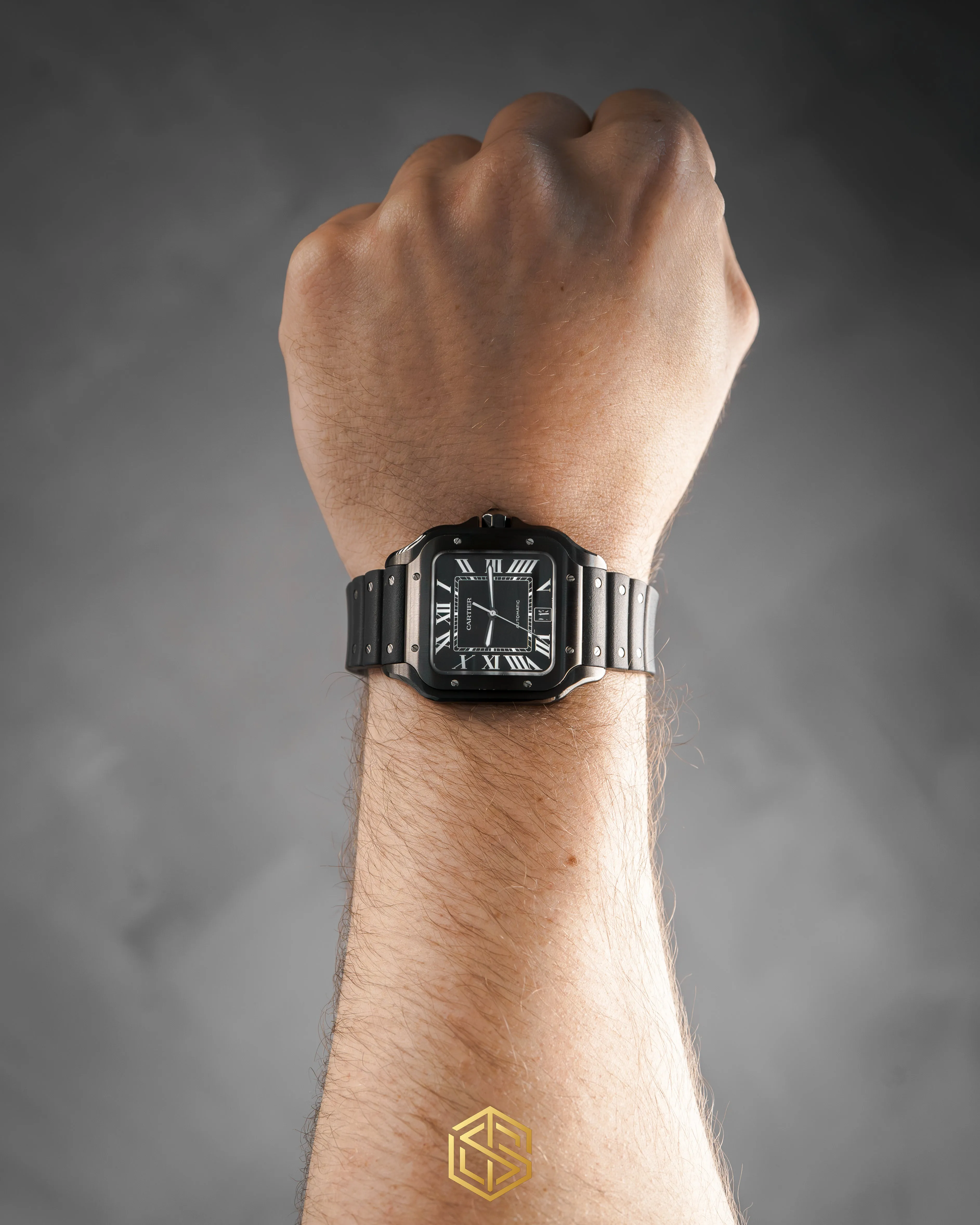 Cartier WSSA0039 Santos De Cartier Large 40mm ADLC 2022 Watch