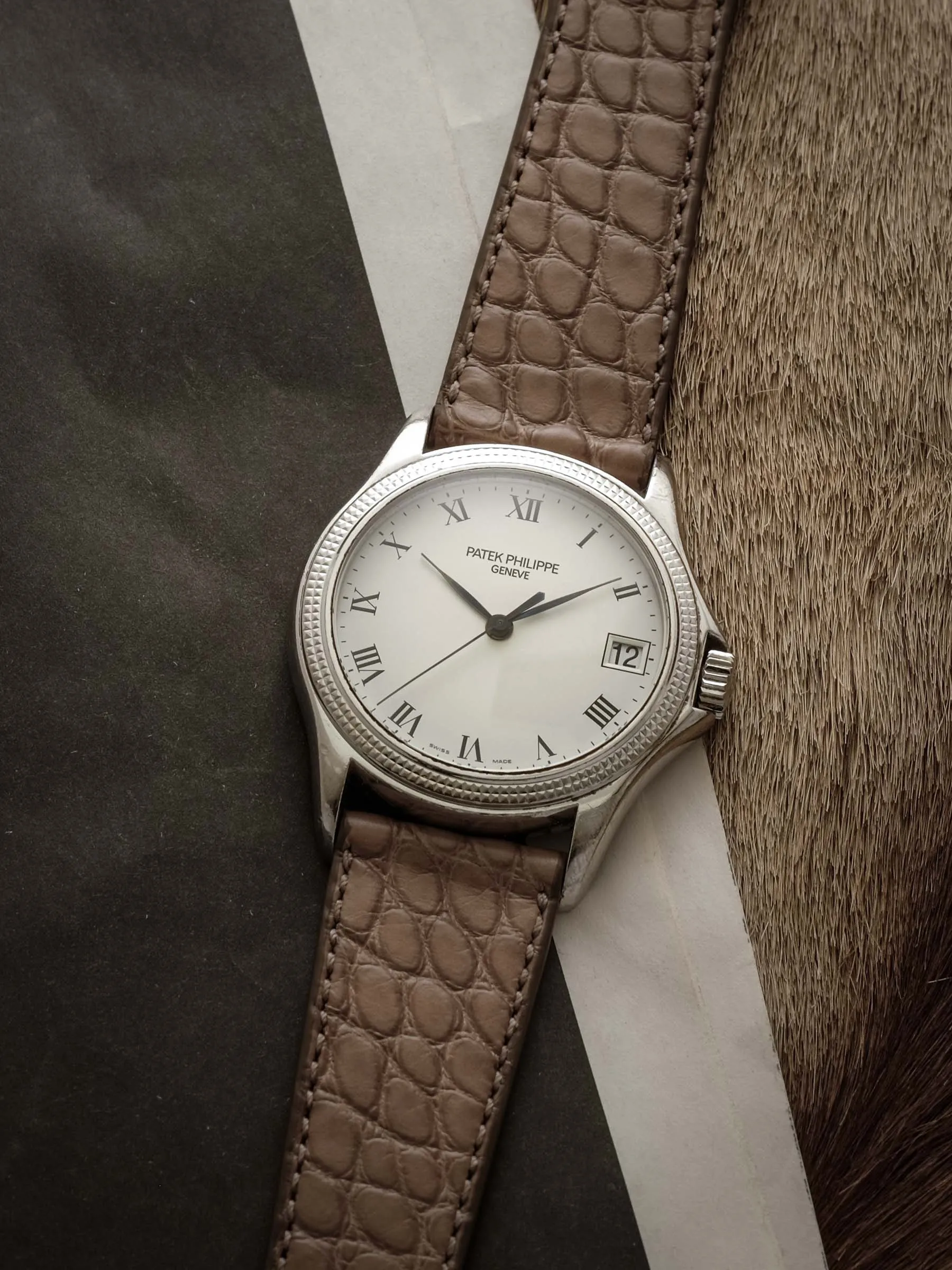 Matte Cafetto Alligator Round Pattern