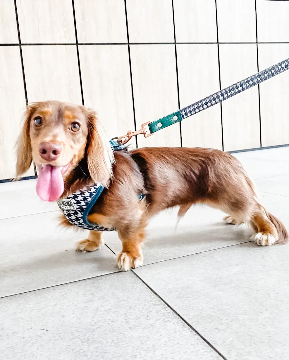 "Emerald Envy" City Leash
