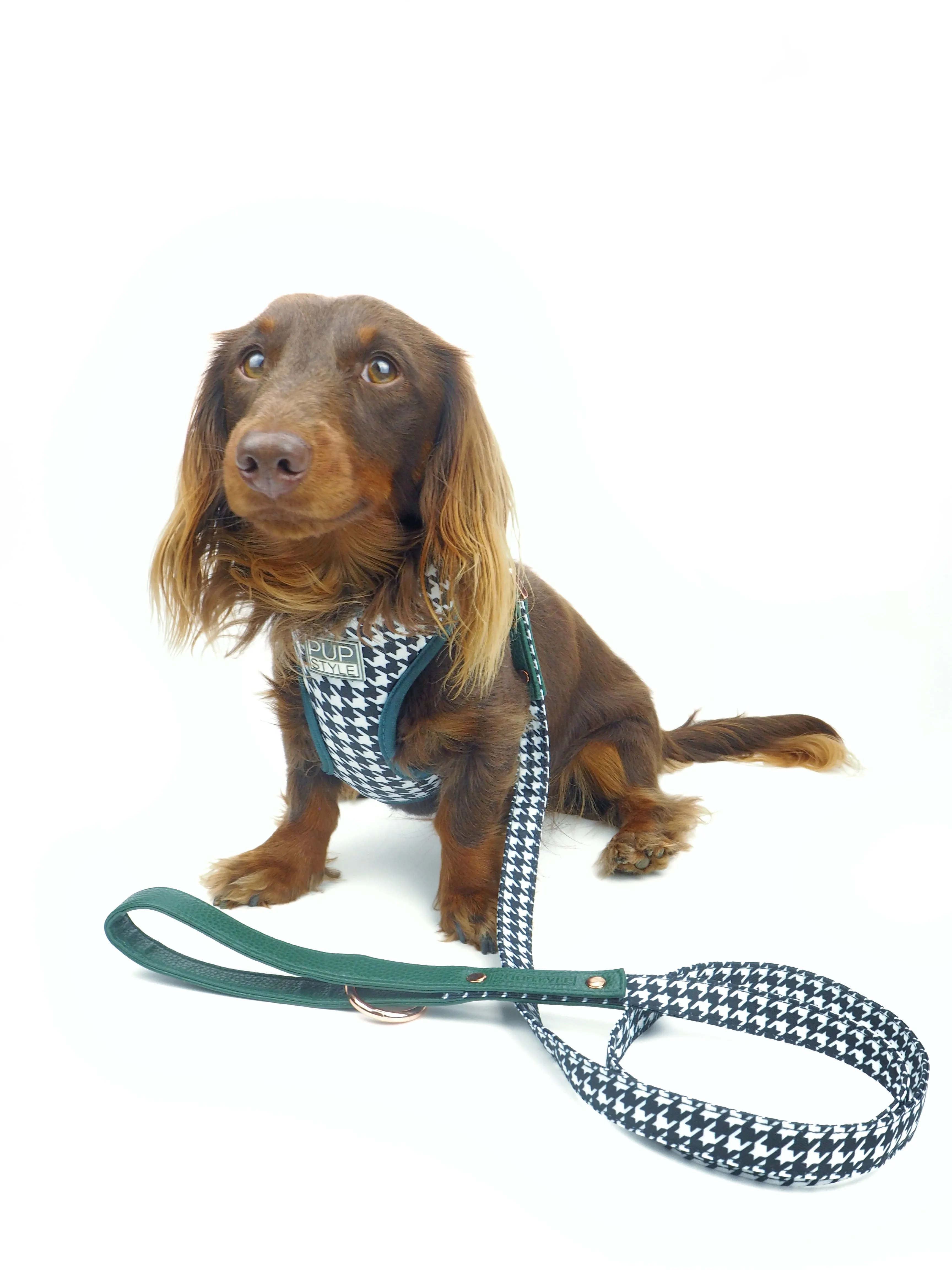 "Emerald Envy" City Leash