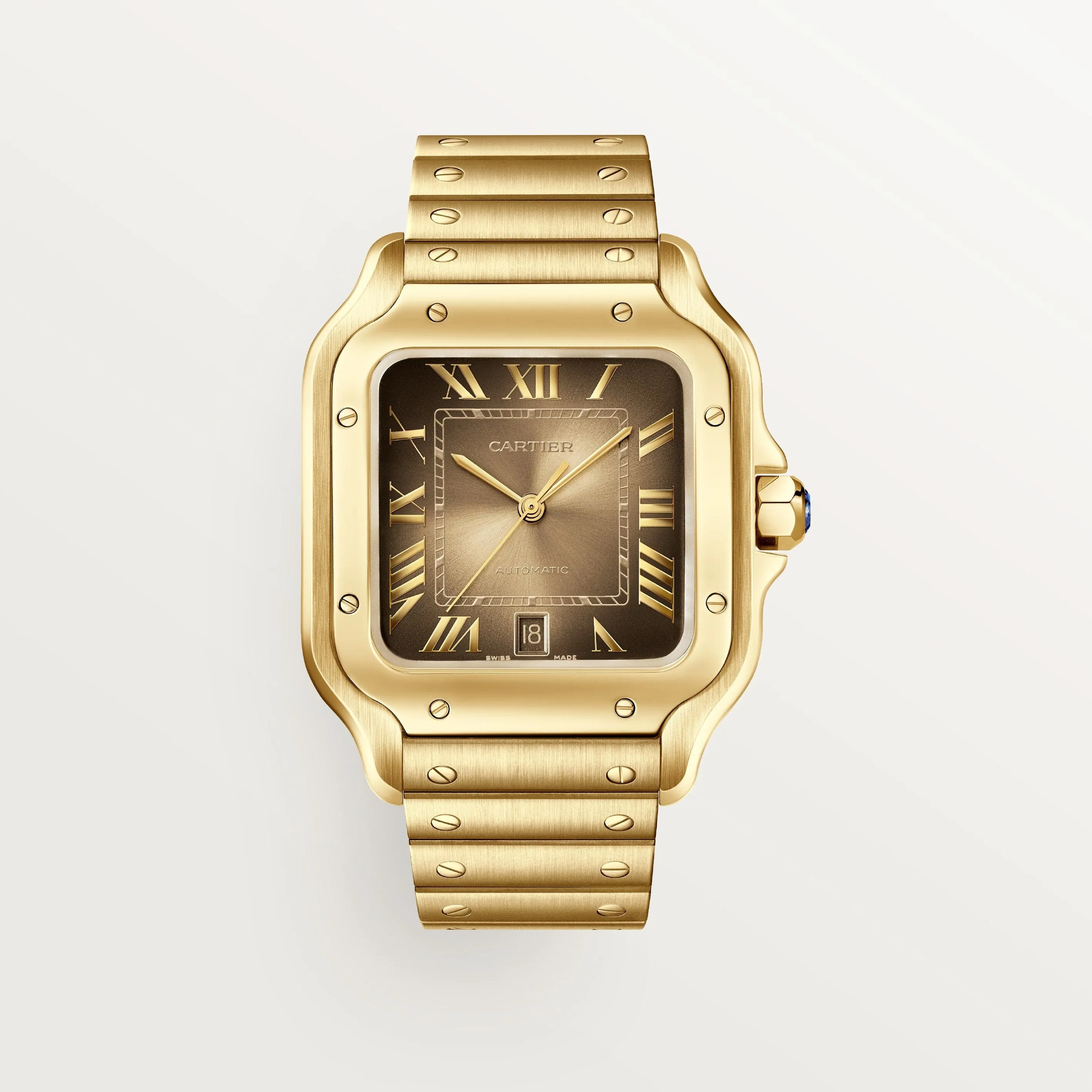 Santos de Cartier watch CRWGSA0095