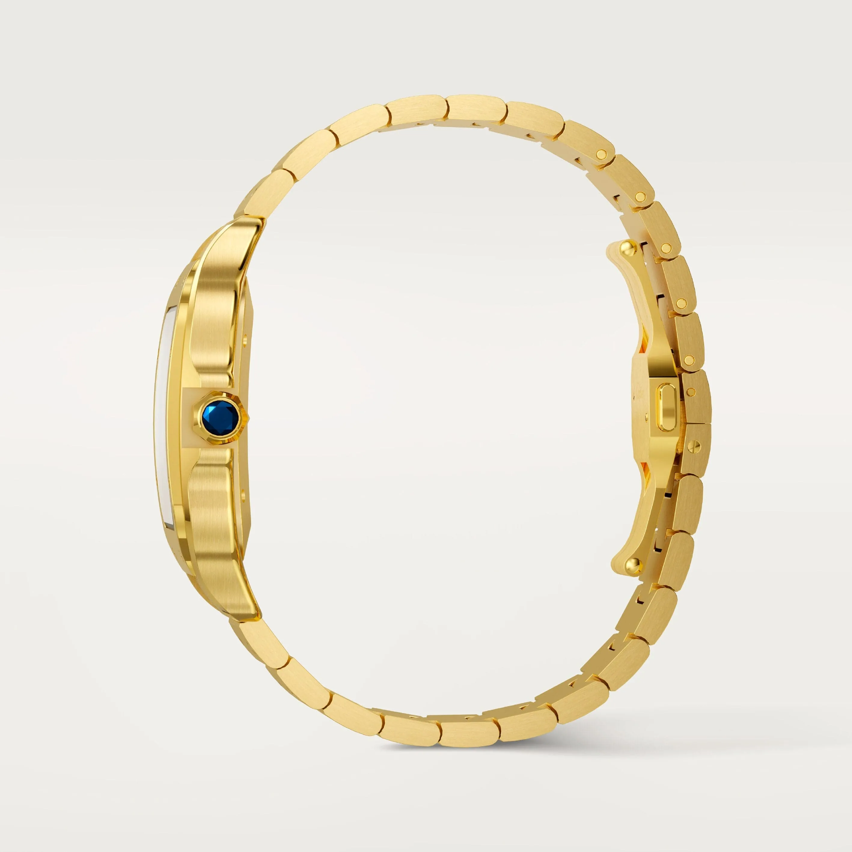 Santos de Cartier watch CRWGSA0095