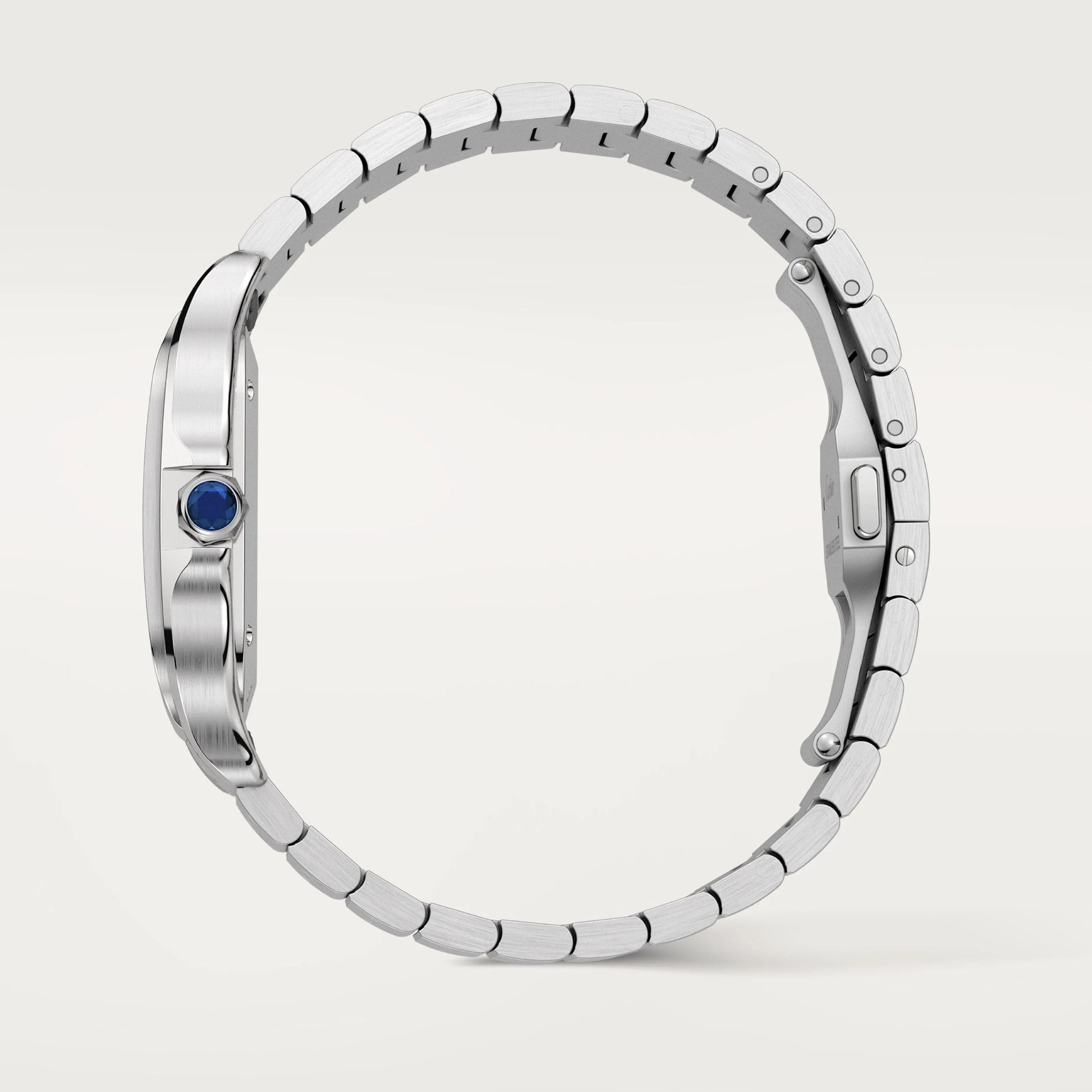Santos de Cartier watch CRWSSA0064
