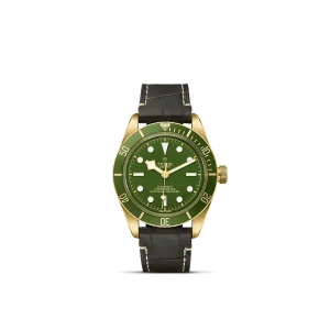 Tudor Black Bay 58 18k