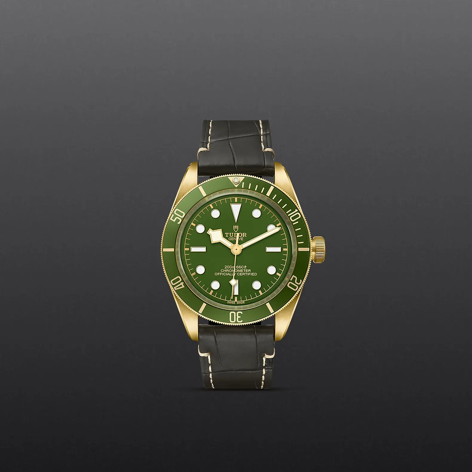 Tudor Black Bay 58 18k
